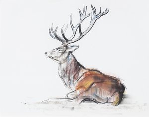 Sittande hjort, 2006 (träkol och conte på papper) av Mark Adlington