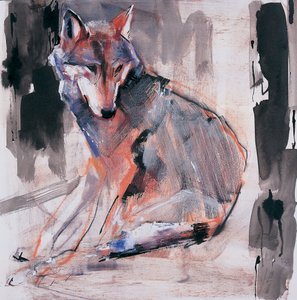 Sitting Wolf, 2000 (blandteknik på papper) av Mark Adlington