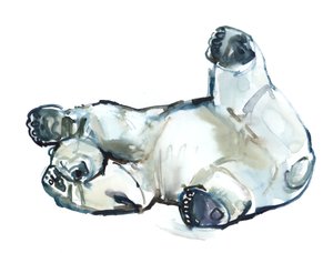 Snow Rub (Polar Bear), 2013 (akvarell och gouache på papper) av Mark Adlington