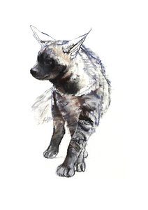 Hyaena-valp, 2010, (conté och pastell på papper) av Mark Adlington