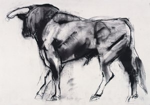 Toro Azul, studie (kol på papper) av Mark Adlington