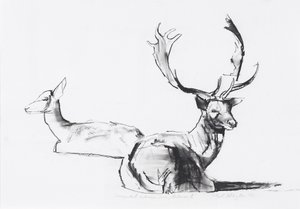 Oväntad höstsol (kol på papper) av Mark Adlington