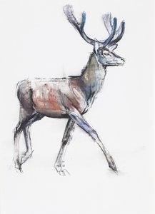 Velvet, 2006 (träkol och conte på papper) av Mark Adlington