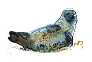 Westcove sigill, 2019 av Mark Adlington