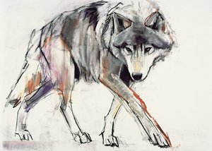 Wolf (bland media på papper) av Mark Adlington