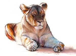 Yogi lejoninna, 2019 av Mark Adlington