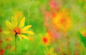efter regnet, en sommardag av Mark Gordon