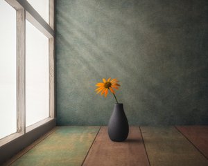 Stilleben med gyllene blommor