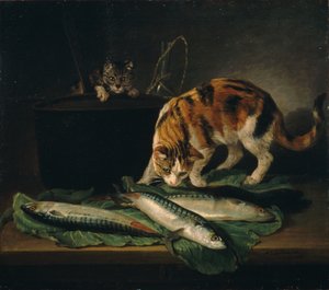 katter och fiskar
