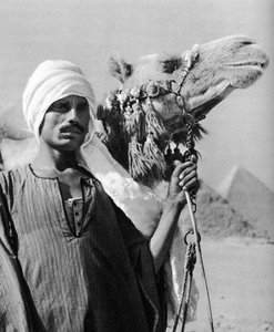 Kamelförare nära pyramiderna, Egypten, 1937