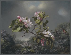 Äppelblom och kolibri, 1871 av Martin Johnson Heade