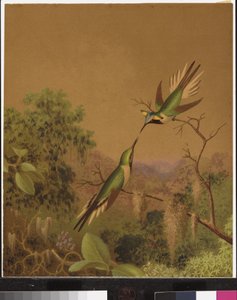Brasilianska kolibrier IV av Martin Johnson Heade