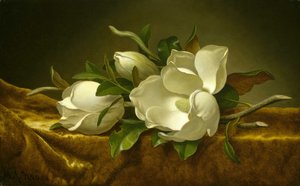 Magnolior på guldfärgad sammetsduk av Martin Johnson Heade