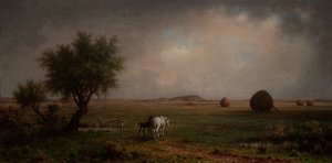 Sto och föl i en mosse av Martin Johnson Heade