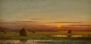 Våtmarker av Martin Johnson Heade