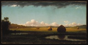 Sommarduschar av Martin Johnson Heade