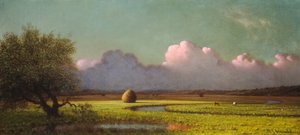 Solljus och skugga: Newbury Marshes av Martin Johnson Heade