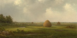 Utsikt över Marshfield av Martin Johnson Heade