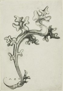 Bladprydnad av Martin Schongauer