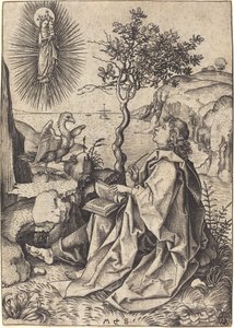 Sankt Johannes på Patmos av Martin Schongauer