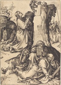Kval i trädgården av Martin Schongauer