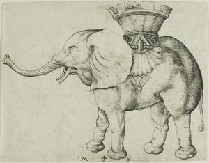 Elefanten av Martin Schongauer