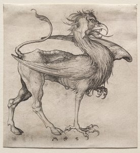 Griffin av Martin Schongauer