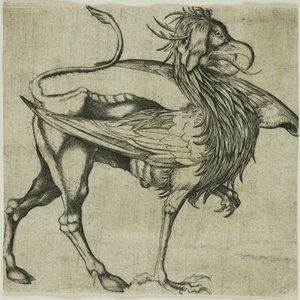 Griffin av Martin Schongauer