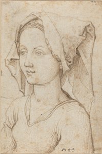 Ung kvinna som bär en halsduk av Martin Schongauer
