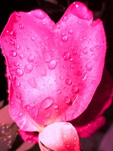 Regndroppar av Martina Konitzky