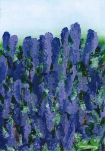 lavendel- av Martina Konitzky