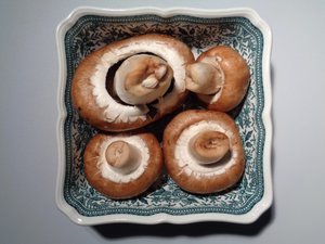 Villeroy och Boch porslin med svampar av Martina Konitzky