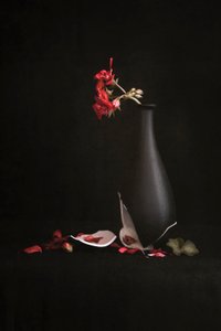  av Martine Benezech