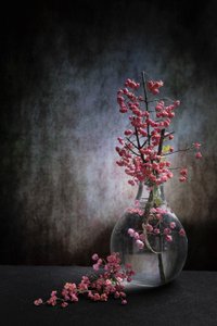  av Martine Benezech