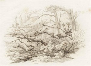 Illustration till "Halvhundra fabler för barn" av Hey av Martinus Rørbye