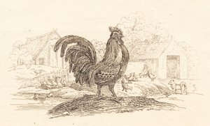 Illustration till "Halvhundra fabler för barn" av Hey av Martinus Rørbye