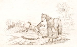 Illustration till "Halvhundra fabler för barn" av Hey av Martinus Rørbye