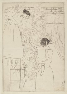 Samla frukt, c. 1893. av Mary Cassatt