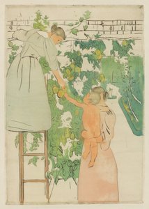 Samla frukt, c. 1893. av Mary Cassatt