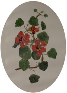 Nasturtiums, ca 1870 (olja på papper) av Mary Dakeyne Townroe