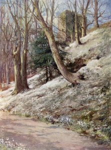 Scottish Gardens: Ardgowan (färg litho)