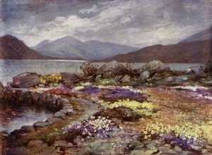 Scottish Gardens: Corrour (färg litho)