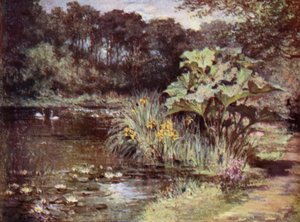 Scottish Gardens: Culzean (färg litho)