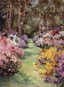 Scottish Gardens: The Hirsel (färg litho)