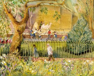 London Zoo, Camels, 2003 (olja ombord) av Mary Kuper