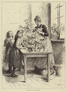 Illustration till The Story of a Nurse, av Honnor Morten av Mary L. Gow