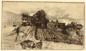 En stadsgård, New York