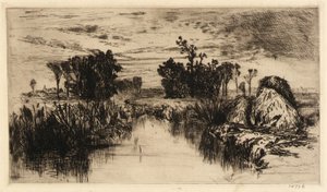 Cattails och träd av Mary Nimmo Moran