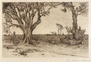 Old Lindens - nära Easthampton av Mary Nimmo Moran
