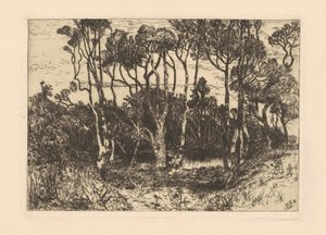 Ensamhet av Mary Nimmo Moran